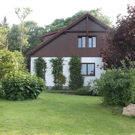 Luxury Apartment In Sumava Mountains Kristanov Exteriör bild