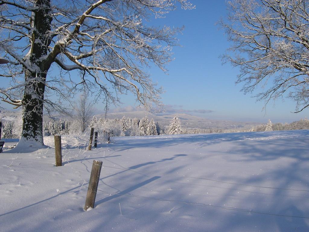 Luxury Apartment In Sumava Mountains Kristanov Exteriör bild