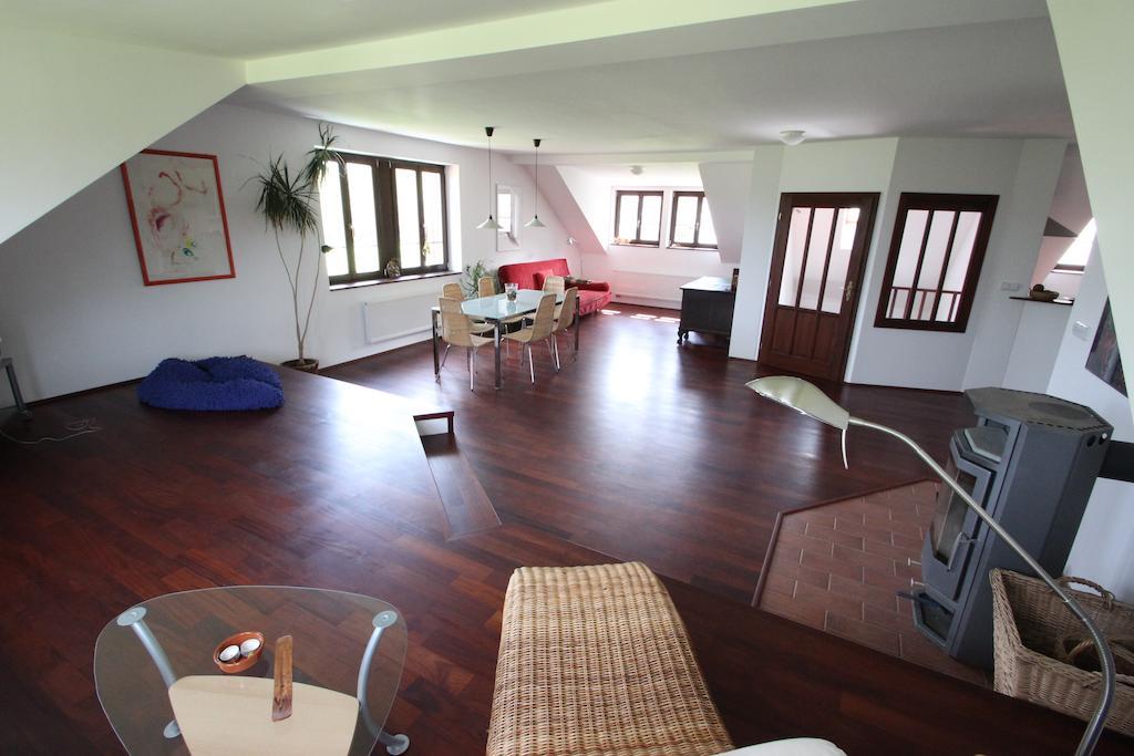Luxury Apartment In Sumava Mountains Kristanov Rum bild